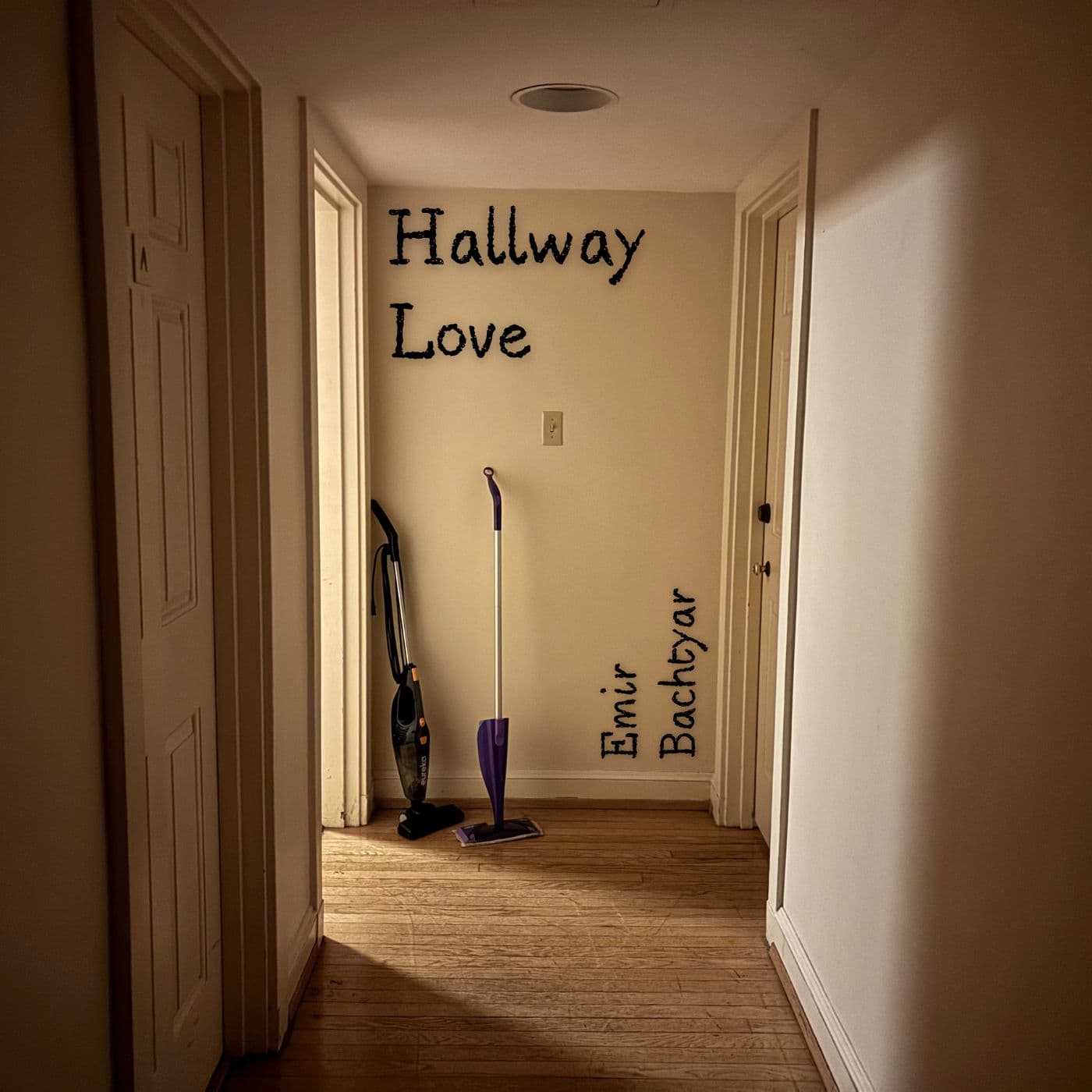 cover art for Hallway Love